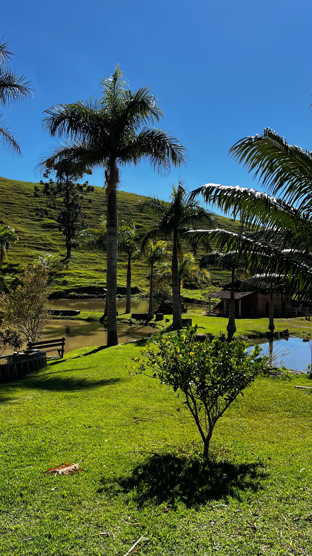 Paisagem verde ao redor do Pesqueiro Baita Peixe